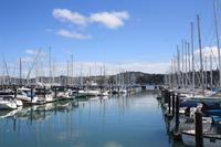 Yachthafen von Sausalitos