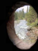 Yosemite NP
