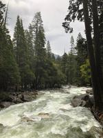 Yosemite NP