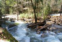 Yosemite National Park