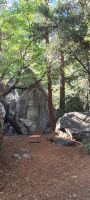 Yosemite Nationalpark