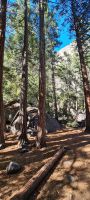 Yosemite Nationalpark