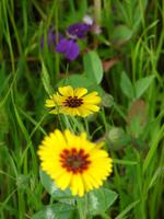 Yosemite-Nationalpark