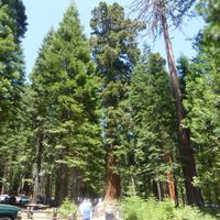 Yosemite-Nationalpark