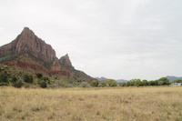 Zion N.P.