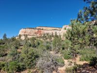 Zion Nationalpark 