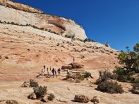 Zion Nationalpark 