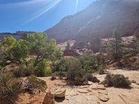 Zion Nationalpark 