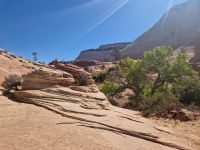 Zion Nationalpark 
