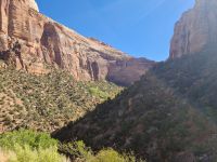 Zion Nationalpark 