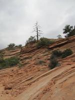 Zion Nationalpark