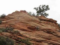 Zion Nationalpark