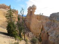 am Fairyland-Trail