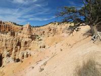 am Fairyland-Trail
