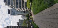 auf der High Line