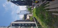 auf der High Line