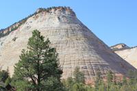 das Checkerboard Mesa im Zion-NP