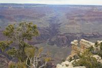 der Grand Canyon