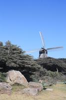 ein bisschen Holland in den USA für unsere