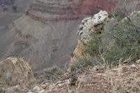 ein kleines Streifenhörnchen