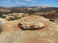 im Capitol Reef NP 