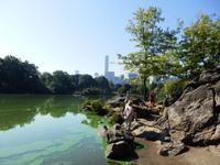 im Central Park