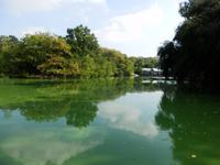 im Central Park