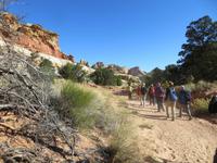 im Cohab Canyon