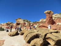 im Cohab Canyon