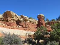im Cohab Canyon
