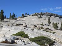 im Yosemite NP