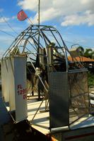 in den Everglades