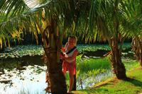 in den Everglades