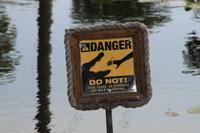in den Everglades