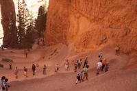 ja, das Ende naht ...