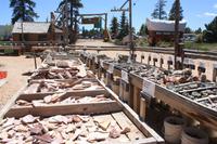 umfangreiche Mineraliensammlung