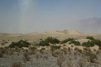 und weiter geht es durch Sandduenen