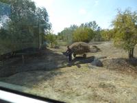 Menschen in Usbekistan