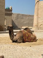 Chiwa In der Altstadt 