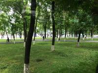 Stadtrundfahrt Taschkent