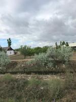 Jeder bewirtschaftet ordentlich sein Stückchen Land dass zu jedem Haus gehört