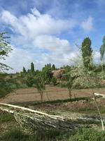 Jeder bewirtschaftet ordentlich sein Stückchen Land dass zu jedem Haus gehört