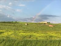 Auf dem Weg nach Samarkand