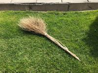 Alles ist so  sauber hier