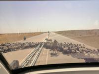 Fahrt durch die Kizilkum-Wüste