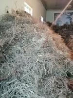 Besichtigung einer privaten Seidenraupenzucht-Farm