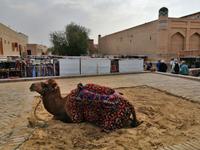 in der Altstadt von Chiwa