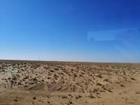 Wüste Kizilkum, Fahrt nach Buchara