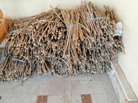 Seidenpapier-Werkstatt von Toshev Davron, Buchara