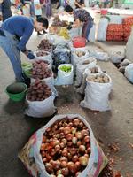 Siab-Basar, Samarkand